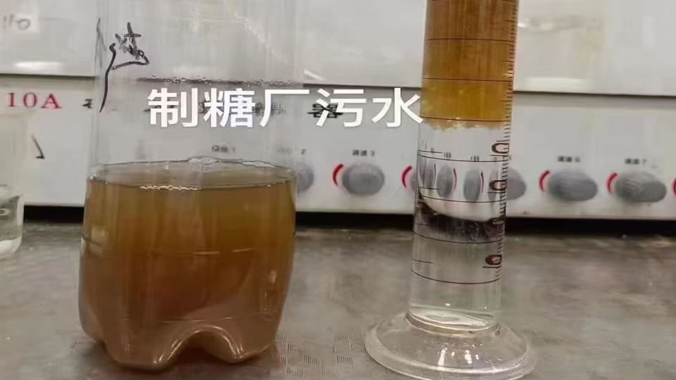 制糖废水实验小试